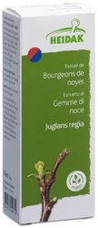 HEIDAK Knospe Walnuss Juglans regia Glyc Maz