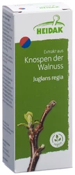 HEIDAK Knospe Walnuss Juglans regia Glyc Maz