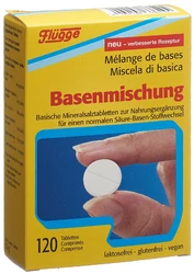 Flügge Basenmischung Tablette
