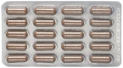 PADMA Digestin plus Kapsel