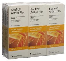 Soufrol Arthro Flex Trink Lös