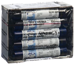 Sinergy Traubenzucker Heidelbeere Joghurt