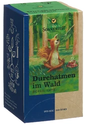 SONNENTOR Durchatmen im Wald Tee BIO