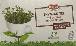 morga thé de thym avec pelliante bio bourgeon