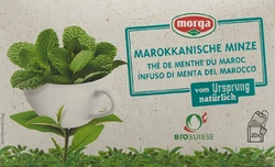 morga Marokkominze Tee mit Hülle Bio Knospe