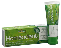 homéodent Zahn- und Zahnfleischpflege komplett Chlorophyll