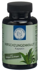 HILDEGARDS LADEN Hirschzungenkraut