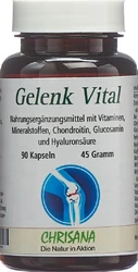CHRISANA Gelenk Vital Kapsel