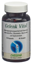 CHRISANA Gelenk Vital Kapsel