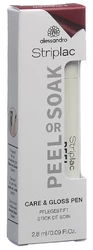 Alessandro International Striplac 2 0 Care & Gloss Finish