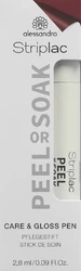 Alessandro International Striplac 2 0 Care & Gloss Finish
