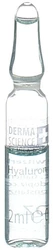 DERMA SCIENCE Hyaluron Concentrat