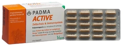 PADMA ACTIVE Kapsel