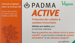PADMA ACTIVE Kapsel
