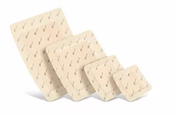 Suprasorb P sensitive P border 12.5x12.5cm