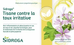 Sidroga Reizhustentee
