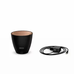 aromalife Zoe Aromavernebler Amber Light schwarz