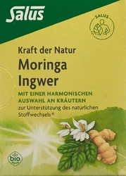 Salus Kraft der Natur Tee Moringa Ingwer Bio