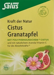 Salus Kraft der Natur Tee Cistus Granatapfel Bio