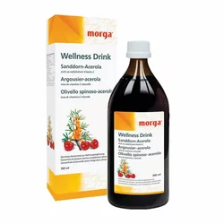 morga Sanddorn Wellness Drink