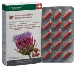 Dr. Dünner artichaut fonction hépatique caps (nv)