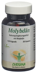 CHRISANA Molybdän Kapsel