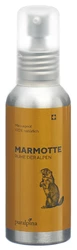 puralpina Marmotte Massageöl