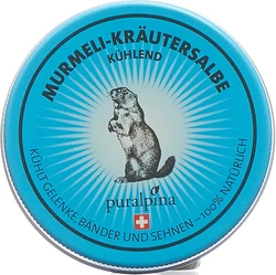 puralpina Murmeli-Kräutersalbe kühlend