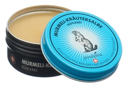 puralpina Murmeli-Kräutersalbe kühlend