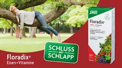 Salus Floradix Eisen + Vitamine Kapsel