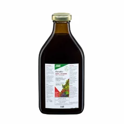 Salus Floradix Eisen + Vitamine Profit Pack
