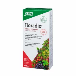 Salus Floradix Eisen + Vitamine Profit Pack