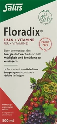 Salus Floradix Eisen + Vitamine Profit Pack