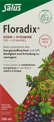 Salus Floradix Eisen + Vitamine Profit Pack