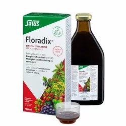 Salus Floradix Eisen + Vitamine Profit Pack