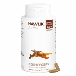 Hawlik Cordyceps Extrakt Kapsel