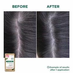 Klorane Shampoo-Bar Pfingstrose Bio