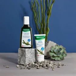 RAUSCH Anti-Fett-Shampoo mit Meerestang
