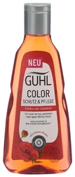 GUHL Color Schutz & Pflege Shampoo Farbglanz