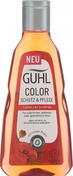 GUHL Color Schutz & Pflege Shampoo Farbglanz