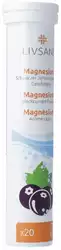 LIVSANE Magnesium Schwarzer Johannisbeeren Geschmack