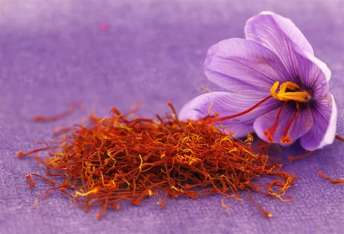Image link