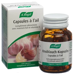 A. Vogel Knobluch Kpseln