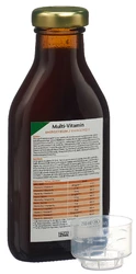 Salus Multi-Vitamin Energetikum