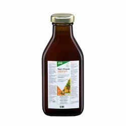 Salus Multi-Vitamin Energetikum