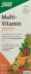 Salus Multi-Vitamin Energetikum