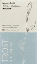 HEIDAK Knospenkraft Pastillen Trost