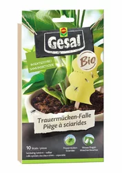 Gesal Trauermücken-Falle Bio