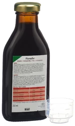 Salus Floradix Eisen + Vitamine