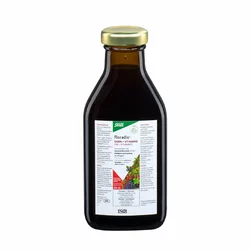 Salus Floradix Eisen + Vitamine
